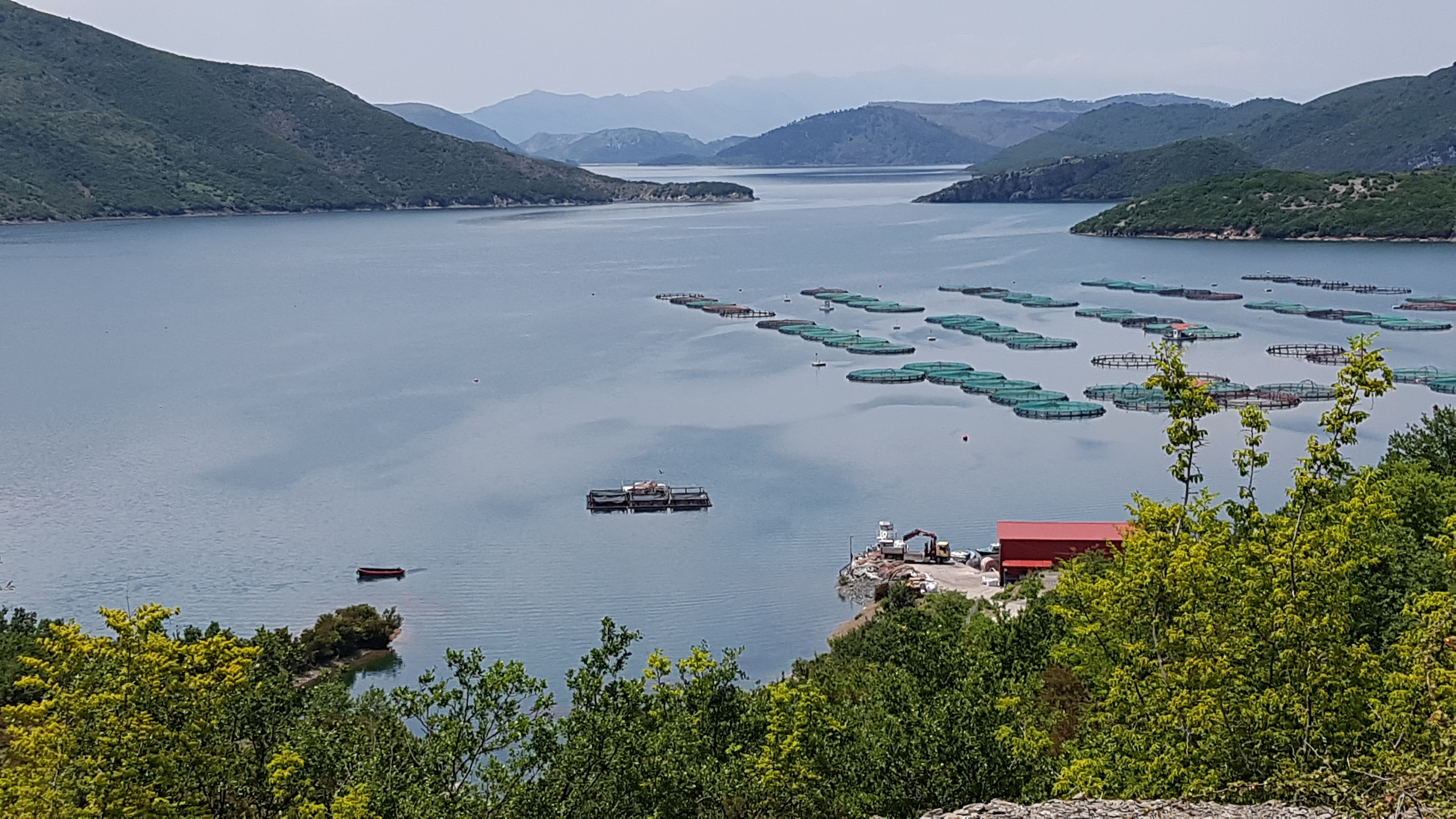aufgestauter Fluss Drin bei Koman, Albanien